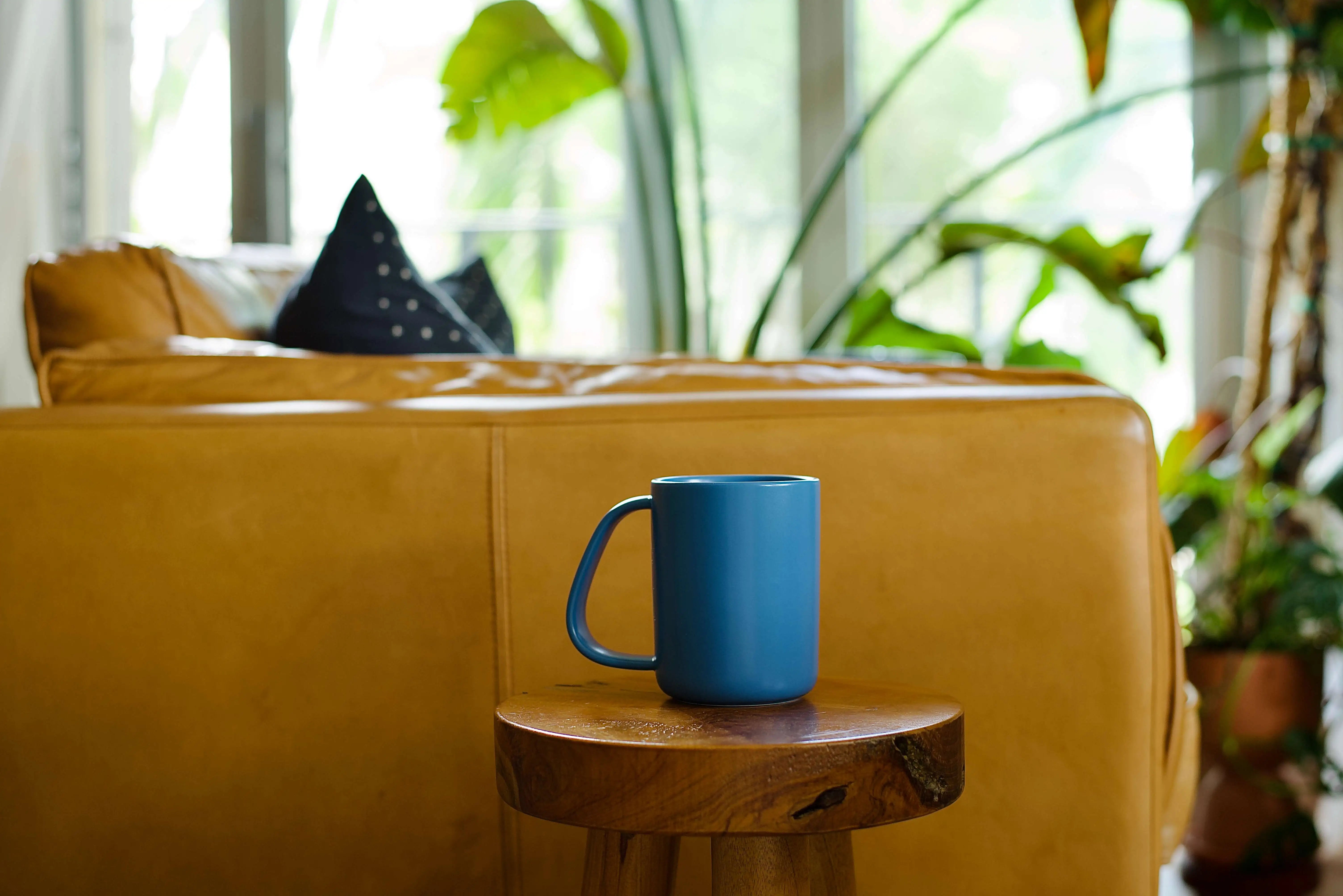 Plastic vs Ceramic Mugs Environmental Impact | CURVD Analysis
