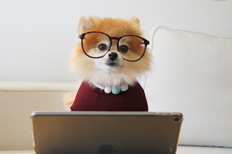 9 Ideas to Make Your WFH Office More Ergonomic and Comfortable in 2023
